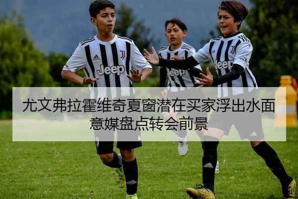 尤文弗拉霍维奇夏窗潜在买家浮出水面意媒盘点转会前景